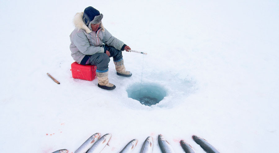 ice fishing labrador